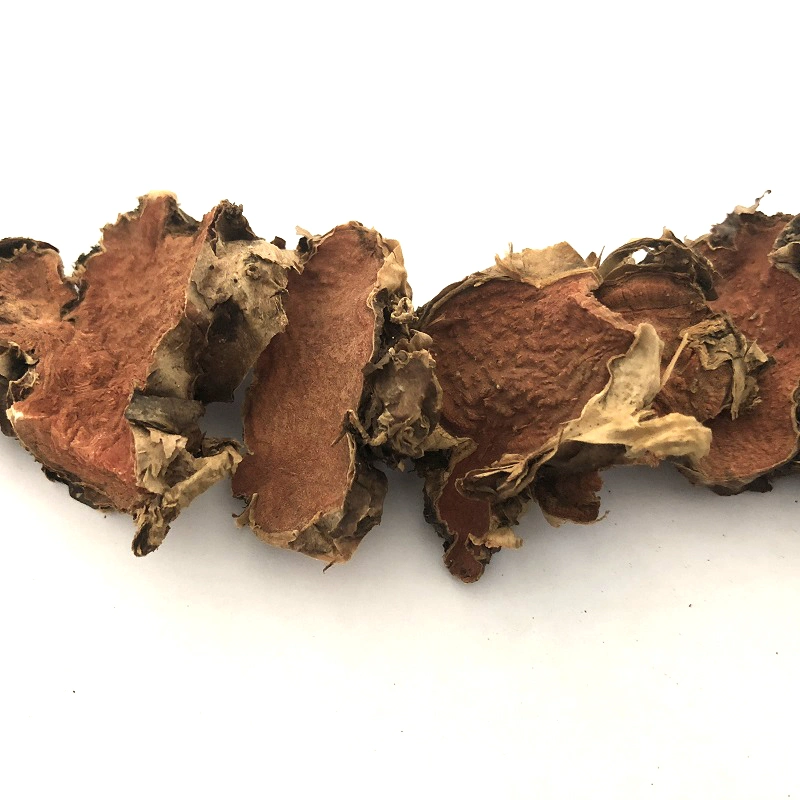 Hong Jing Tian Chinese Herbal Medicine Dried Herbs Rhodiola Rosea Root