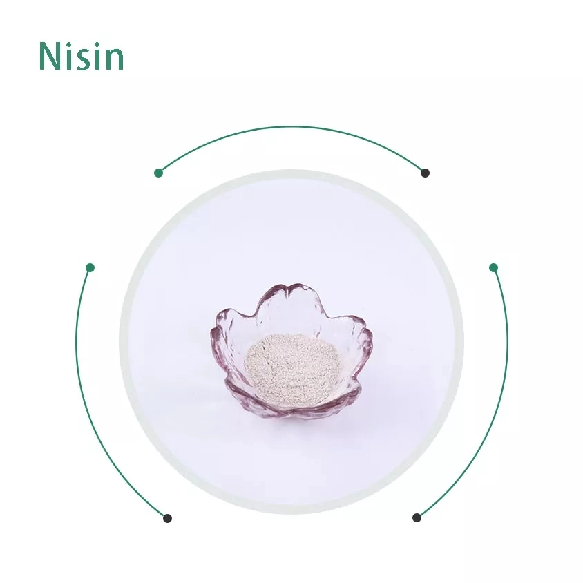 Natural Preservative Nisin Food Preservative Food Grade Nisin E234 Powder Juice Preservatives for Sale