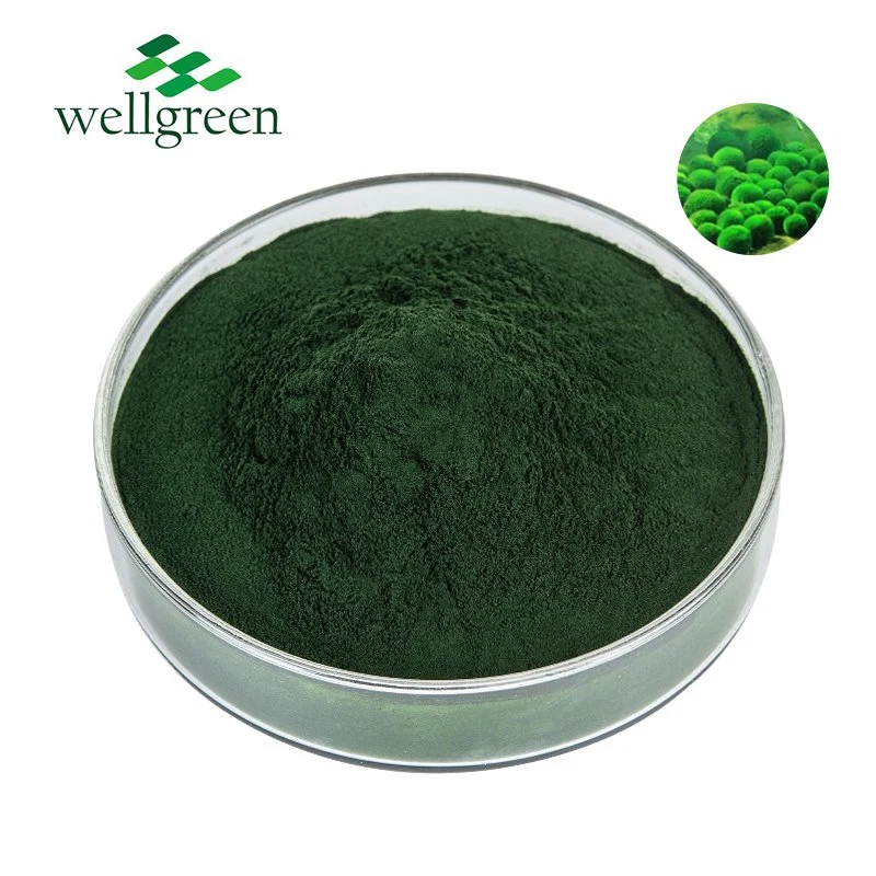 Immune Boosting Superfood Pure Organic Chlorella Extract