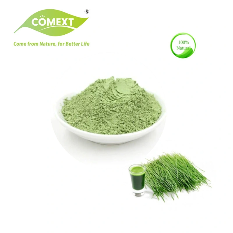 Comext Wheat Organic Food Grade Powder Wheat Grass for Green Superfood